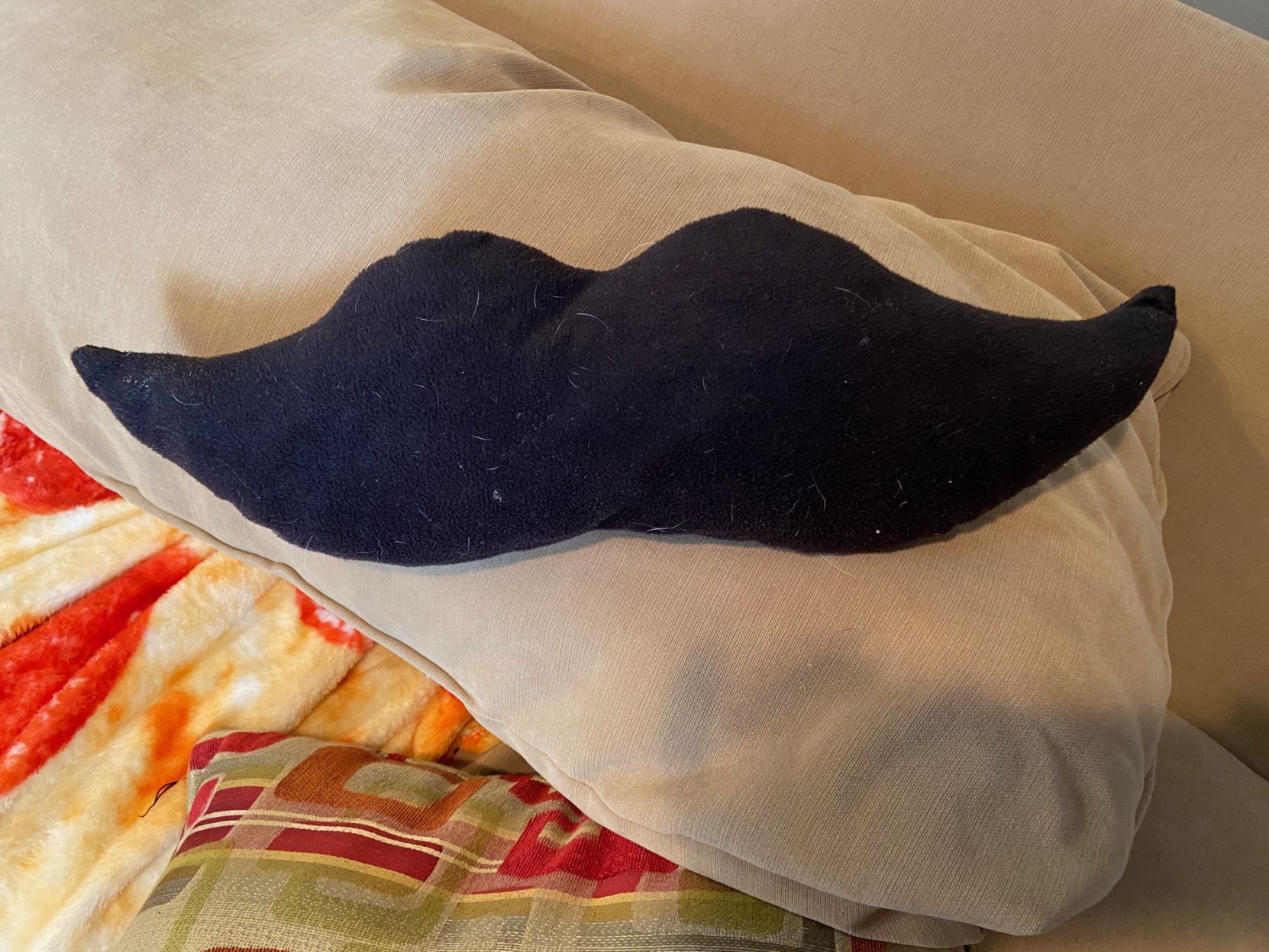 pillow